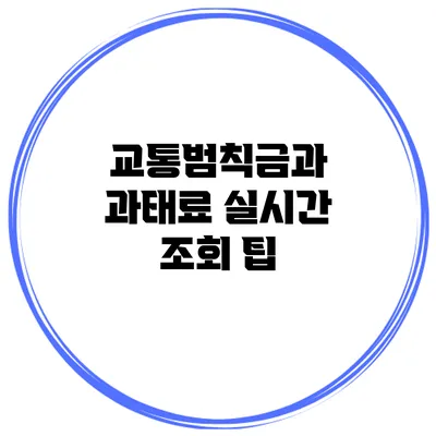 교통범칙금과 과태료 실시간 조회 팁