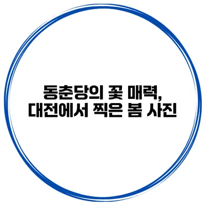 동춘당의 꽃 매력, 대전에서 찍은 봄 사진