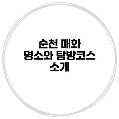 순천 매화 명소와 탐방코스 소개
