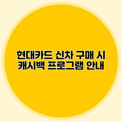 현대카드 신차 구매 시 캐시백 프로그램 안내