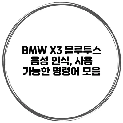 BMW X3 블루투스 음성 인식, 사용 가능한 명령어 모음