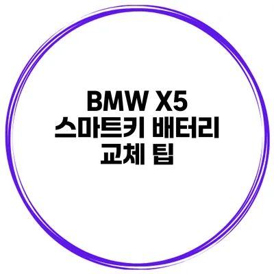 BMW X5 스마트키 배터리 교체 팁