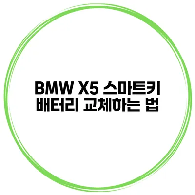 BMW X5 스마트키 배터리 교체하는 법