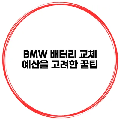 BMW 배터리 교체 예산을 고려한 꿀팁