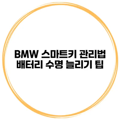 BMW 스마트키 관리법 배터리 수명 늘리기 팁