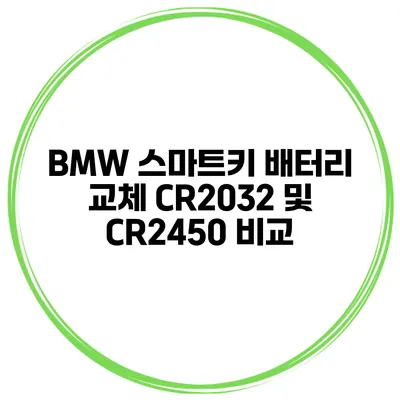 BMW 스마트키 배터리 교체 CR2032 및 CR2450 비교