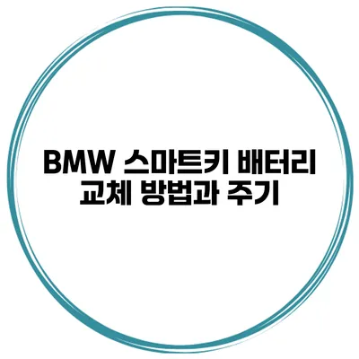 BMW 스마트키 배터리 교체 방법과 주기