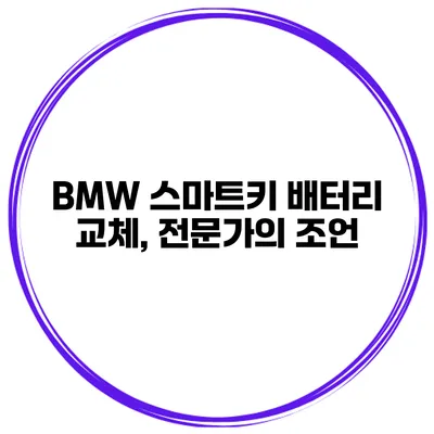 BMW 스마트키 배터리 교체, 전문가의 조언