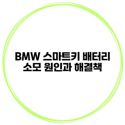 BMW 스마트키 배터리 소모 원인과 해결책