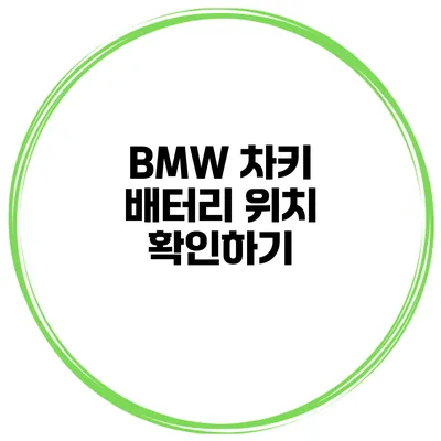 BMW 차키 배터리 위치 확인하기