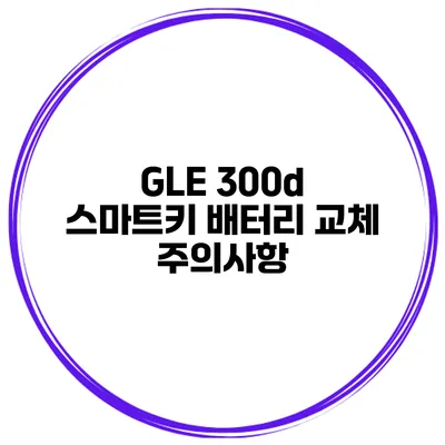 GLE 300d 스마트키 배터리 교체 주의사항
