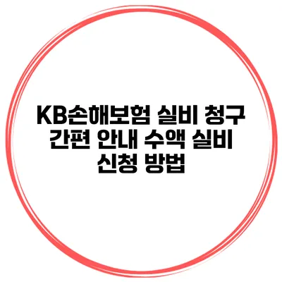 KB손해보험 실비 청구 간편 안내 수액 실비 신청 방법