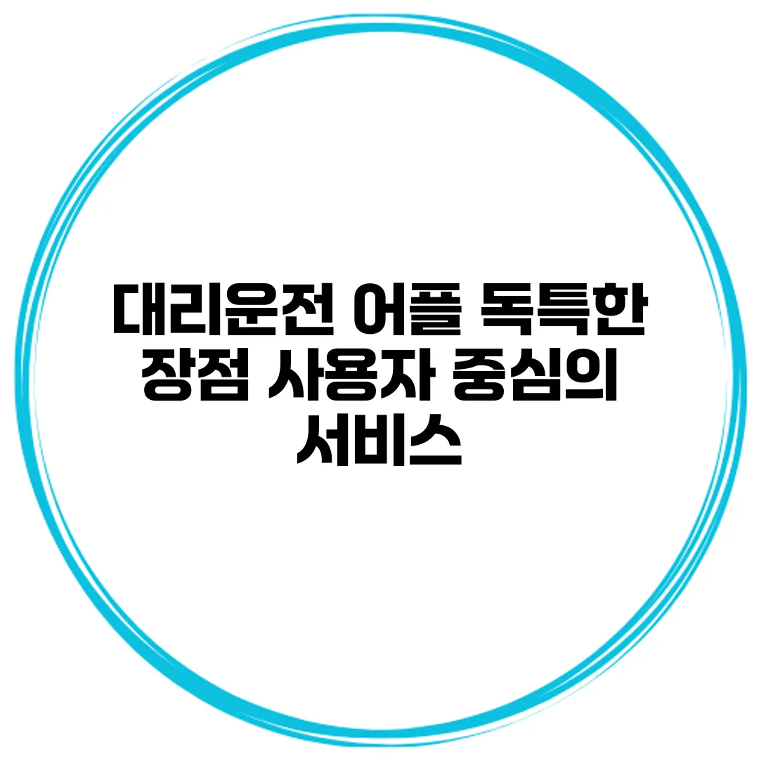 대리운전 어플 독특한 장점 사용자 중심의 서비스