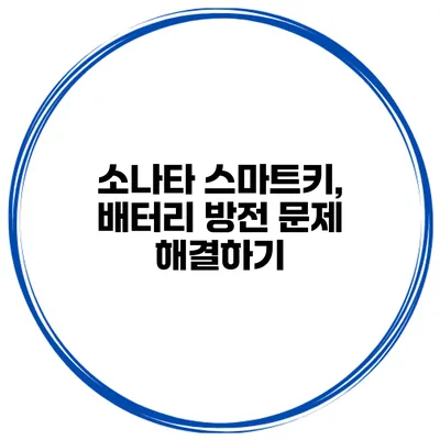 소나타 스마트키, 배터리 방전 문제 해결하기