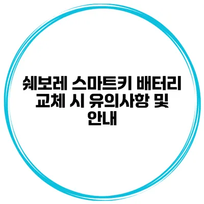 쉐보레 스마트키 배터리 교체 시 유의사항 및 안내