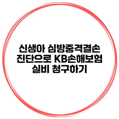 신생아 심방중격결손 진단으로 KB손해보험 실비 청구하기