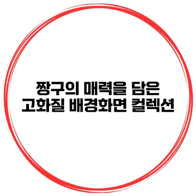 짱구의 매력을 담은 고화질 배경화면 컬렉션
