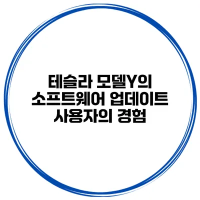 테슬라 모델Y의 소프트웨어 업데이트 사용자의 경험